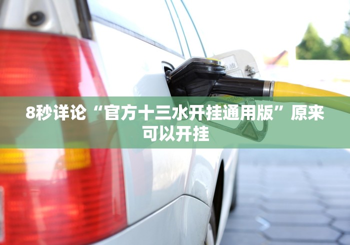 8秒详论“官方十三水开挂通用版”原来可以开挂