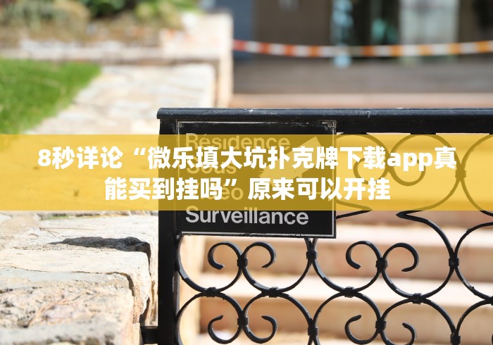 8秒详论“微乐填大坑扑克牌下载app真能买到挂吗”原来可以开挂