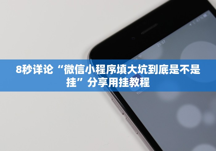 8秒详论“微信小程序填大坑到底是不是挂”分享用挂教程